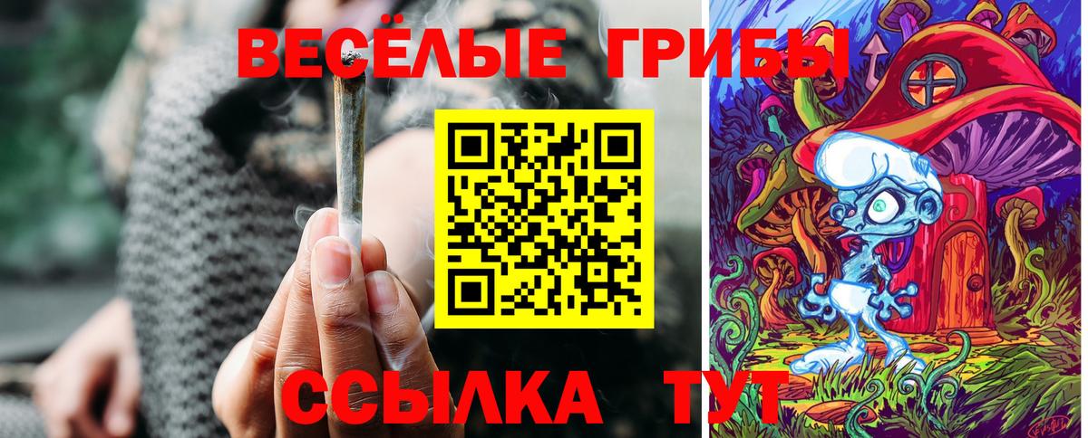 Псилоцибиновые грибы Psilocybe  Вход с VPN  Лениногорск 