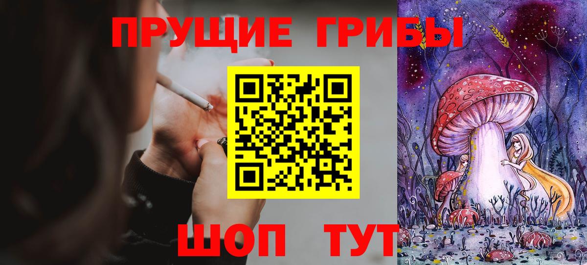Псилоцибиновые грибы Psilocybine cubensis Лениногорск